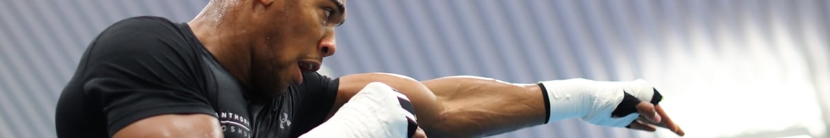 Joshua – Takam ; pour un vingtième KO en vingt combats