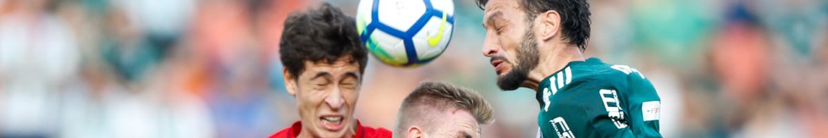 Palmeiras – Internacional : affiche du championnat Brasileirão